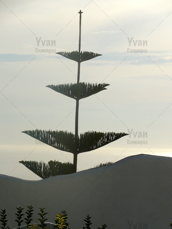 08. Uruguay - Yvan Roumengous-Art.com ©