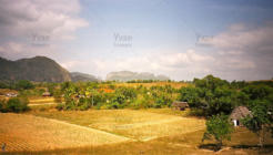 09. Cuba - Yvan Roumengous-Art.com ©
