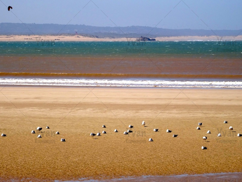 09. Essaouira - Yvan Roumengous-Art.com ©