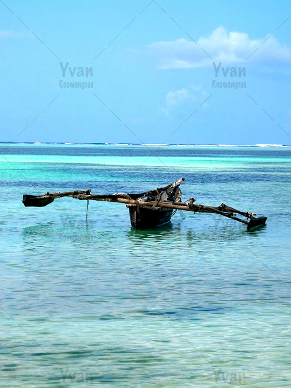 107. Zanzibar - Yvan Roumengous-Art.com ©