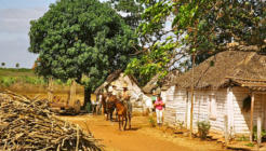11. Cuba - Yvan Roumengous-Art.com ©