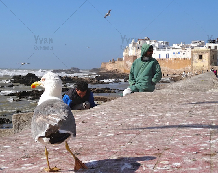 112. Essaouira - Yvan Roumengous-Art.com ©