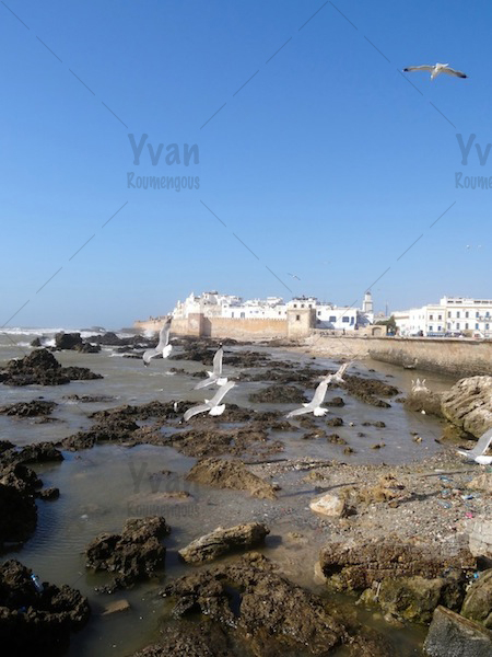 117. Essaouira - Yvan Roumengous-Art.com ©