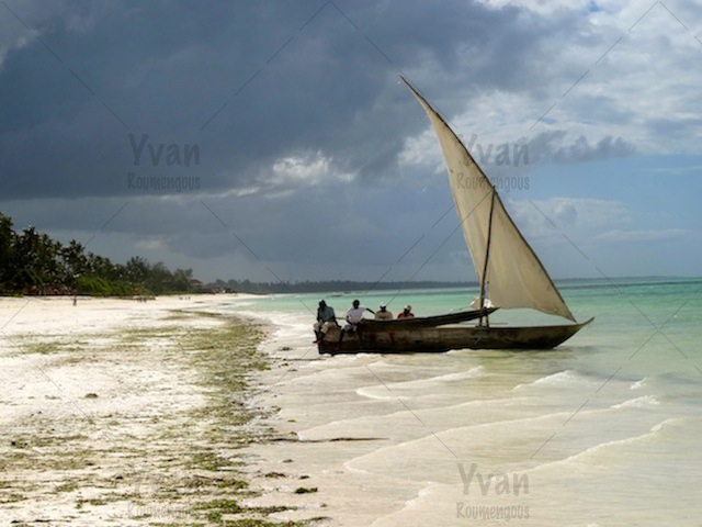 117. Zanzibar - Yvan Roumengous-Art.com ©