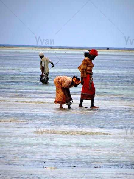 129. Zanzibar - Yvan Roumengous-Art.com ©