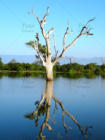 131.. Sri Lanka - Yvan Roumengous-Art.com ©