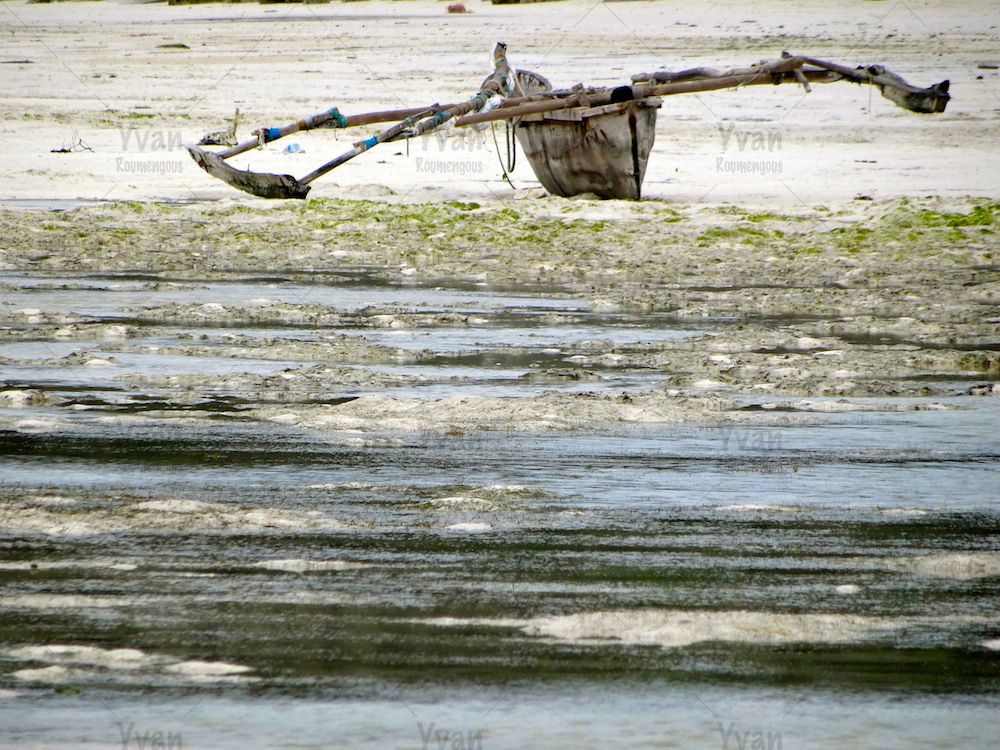 141. Zanzibar - Yvan Roumengous-Art.com ©