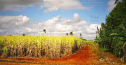 15. Cuba - Yvan Roumengous-Art.com ©