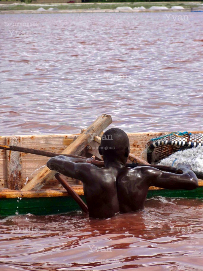 178 Senegal - Yvan Roumengous-Artcom ©