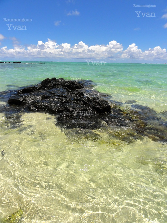 31.île Maurice - Yvan Roumengous-Art.com ©.