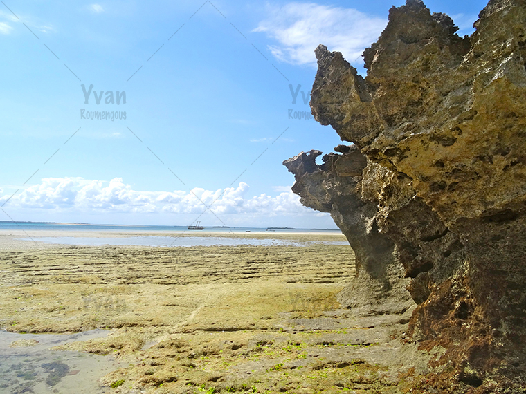 38. Zanzibar - Yvan Roumengous-Art.com ©