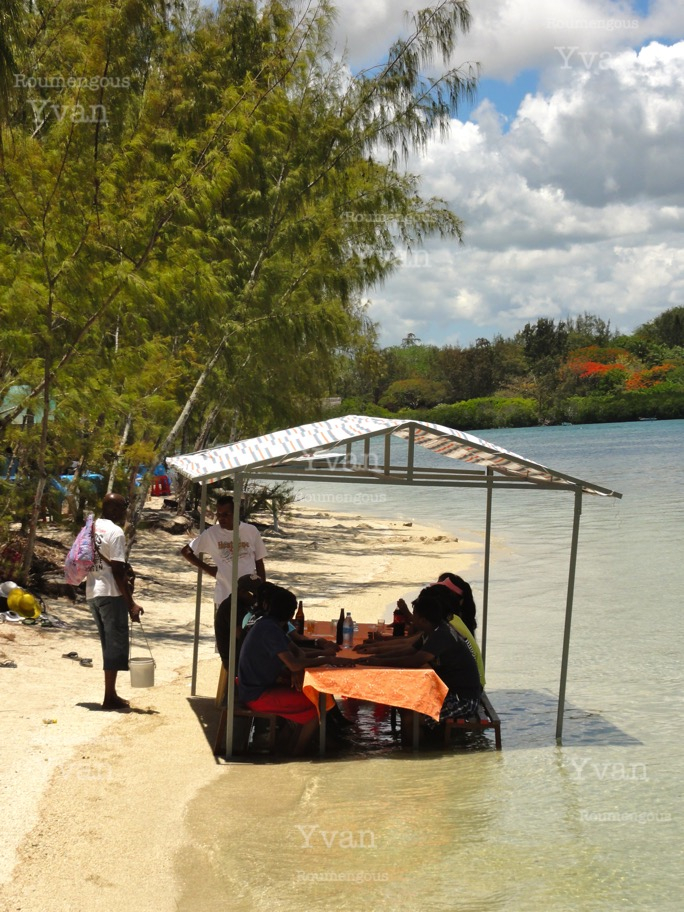 38.île Maurice - Yvan Roumengous-Art.com ©