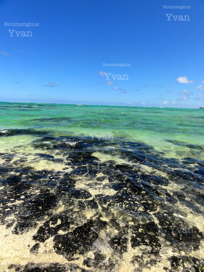 42.île Maurice - Yvan Roumengous-Art.com ©