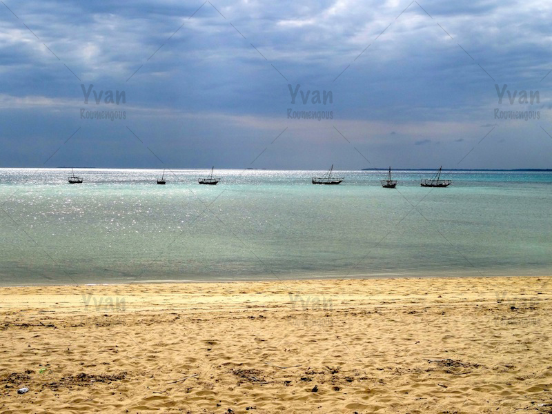 43. Zanzibar - Yvan Roumengous-Art.com ©