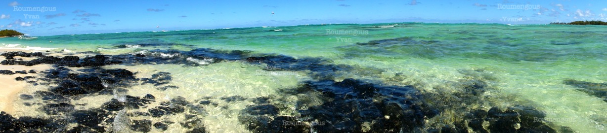 45.île Maurice - Yvan Roumengous-Art.com ©