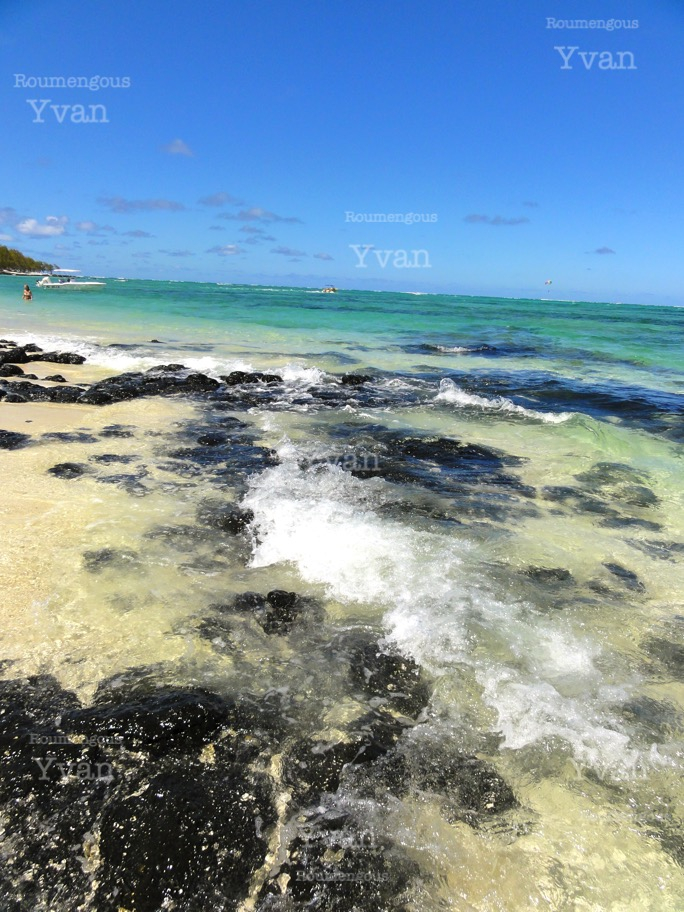 46.île Maurice - Yvan Roumengous-Art.com ©