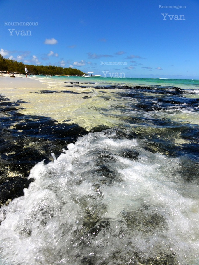 48.île Maurice - Yvan Roumengous-Art.com ©
