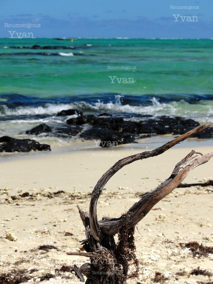 50.île Maurice - Yvan Roumengous-Art.com ©