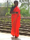 78. Sri Lanka - Yvan Roumengous-Art.com ©