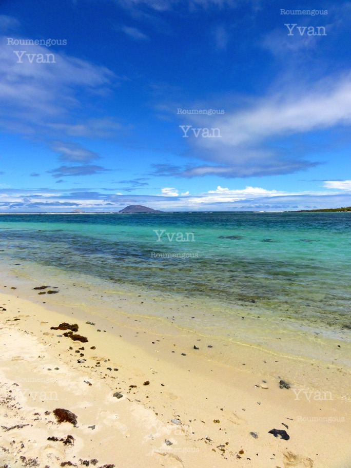 84.île Maurice - Yvan Roumengous-Art.com ©