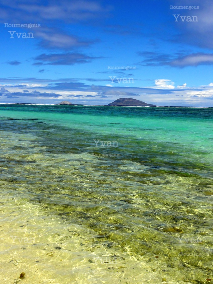 86.île Maurice - Yvan Roumengous-Art.com ©