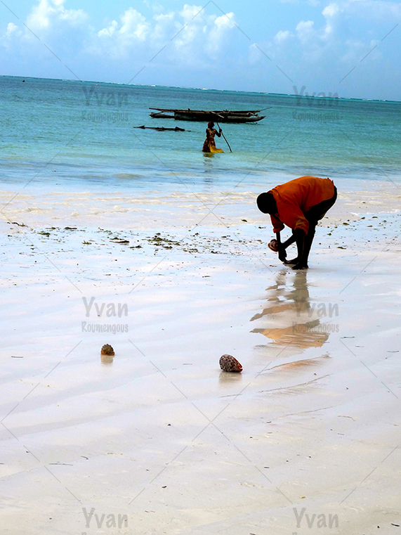 88. Zanzibar - Yvan Roumengous-Art.com ©